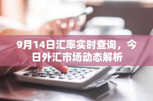 9月14日汇率实时查询，今日外汇市场动态解析