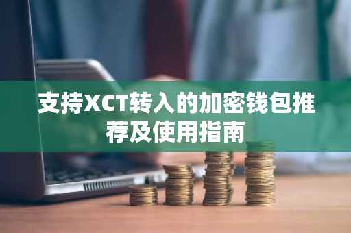 支持XCT转入的加密钱包推荐及使用指南