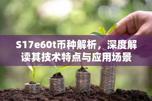 S17e60t币种解析，深度解读其技术特点与应用场景