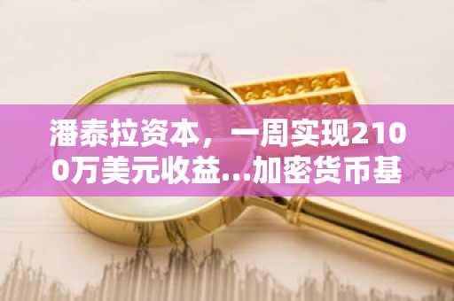 潘泰拉资本，一周实现2100万美元收益…加密货币基金中表现最佳
