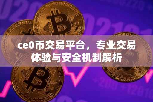 ce0币交易平台，专业交易体验与安全机制解析