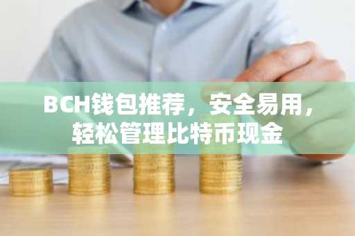 BCH钱包推荐，安全易用，轻松管理比特币现金