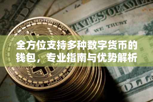 全方位支持多种数字货币的钱包，专业指南与优势解析