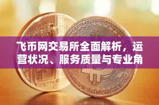 飞币网交易所全面解析，运营状况、服务质量与专业角度探讨
