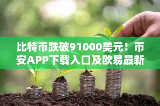 比特币跌破91000美元！币安APP下载入口及欧易最新地址助你把握市场趋势
