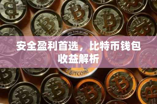 安全盈利首选，比特币钱包收益解析