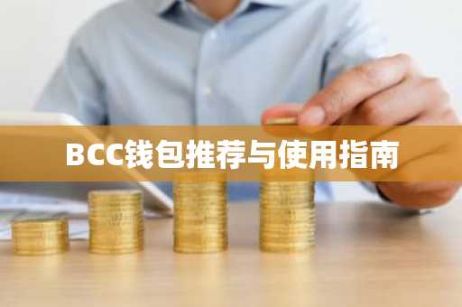 BCC钱包推荐与使用指南