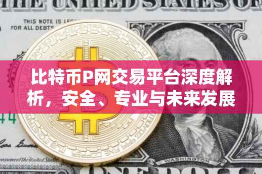 比特币P网交易平台深度解析，安全、专业与未来发展