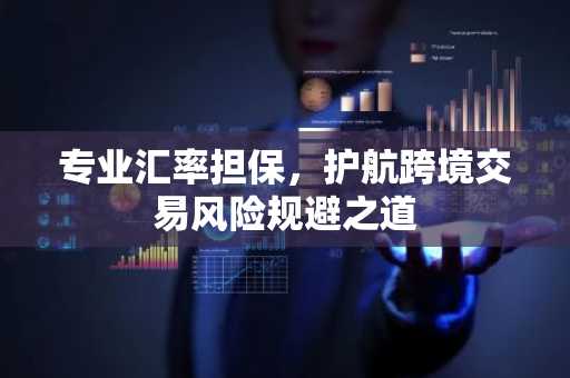 专业汇率担保，护航跨境交易风险规避之道