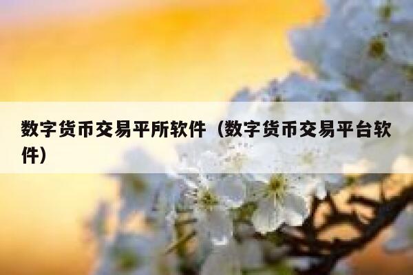 数字货币交易平所软件（数字货币交易平台软件）