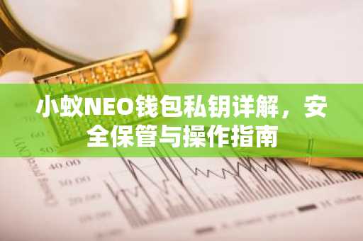 小蚁NEO钱包私钥详解，安全保管与操作指南