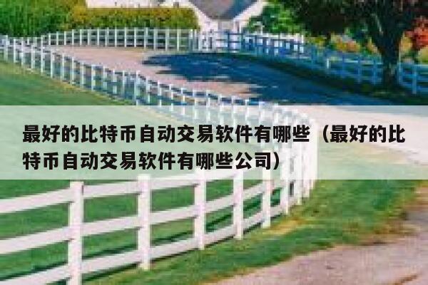 最好的比特币自动交易软件有哪些（最好的比特币自动交易软件有哪些公司）