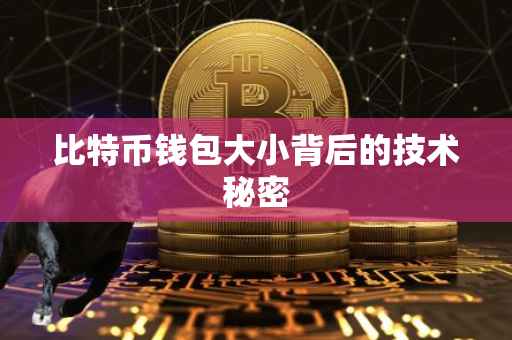 比特币钱包大小背后的技术秘密