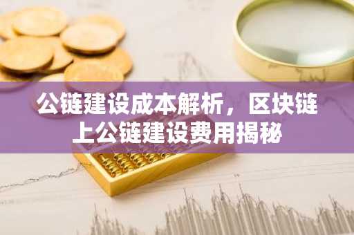 公链建设成本解析，区块链上公链建设费用揭秘