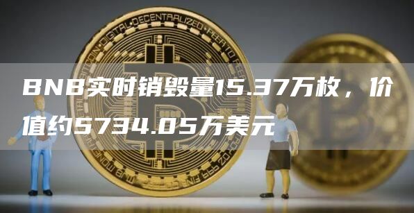 BNB实时销毁量15.37万枚，价值约5734.05万美元
