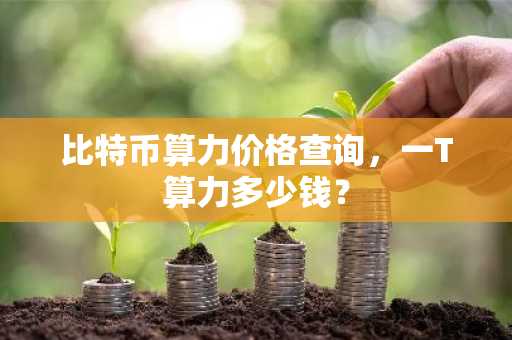 比特币算力价格查询，一T算力多少钱？