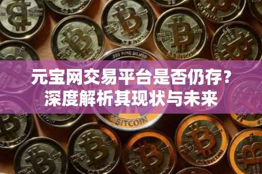 元宝网交易平台是否仍存？深度解析其现状与未来