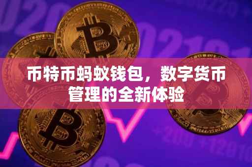 币特币蚂蚁钱包，数字货币管理的全新体验