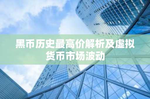 黑币历史最高价解析及虚拟货币市场波动