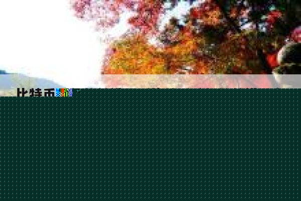 比特币矿机软件设置（比特币矿机软件设置在哪）