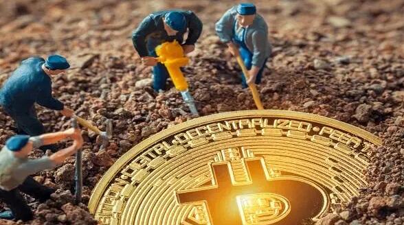 狗狗币和柴犬币哪个好 - 狗狗币和柴犬币哪个更有未来）