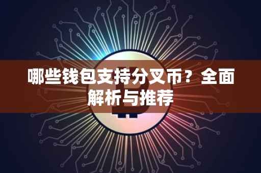 哪些钱包支持分叉币？全面解析与推荐