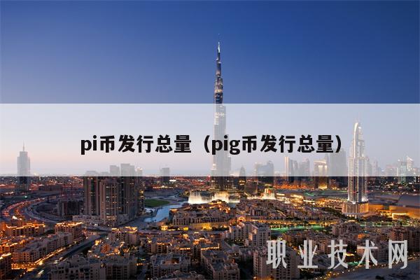 pi币发行总量（pig币发行总量）