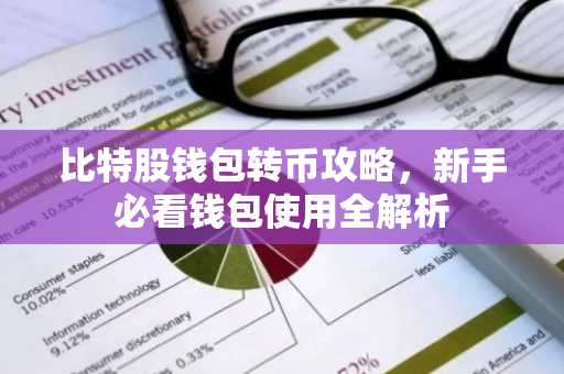 比特股钱包转币攻略，新手必看钱包使用全解析