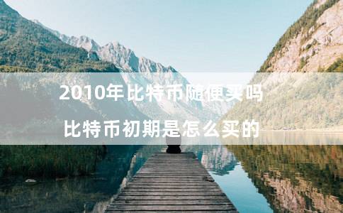 2010年比特币随便买吗（比特币初期是怎么买的）
