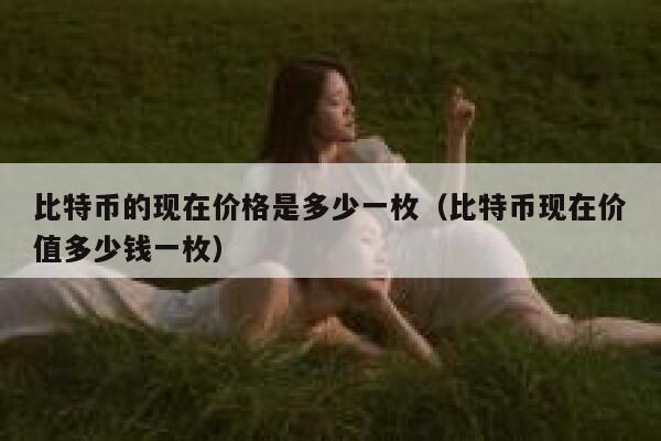比特币的现在价格是多少一枚（比特币现在价值多少钱一枚）