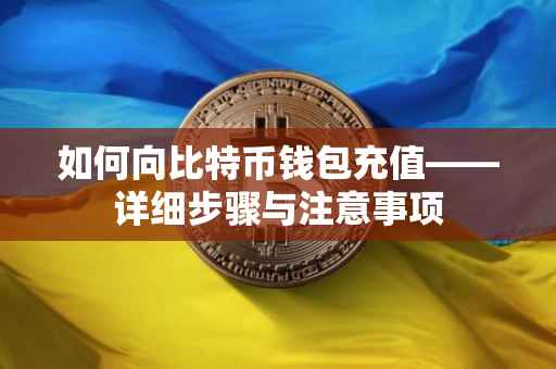 如何向比特币钱包充值——详细步骤与注意事项