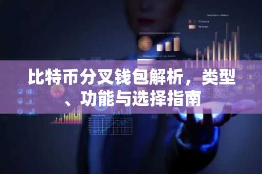 比特币分叉钱包解析，类型、功能与选择指南