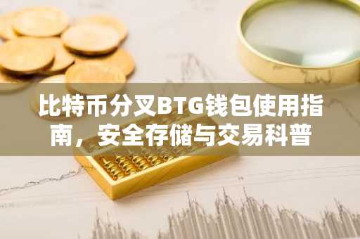 比特币分叉BTG钱包使用指南，安全存储与交易科普