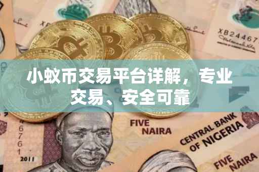 小蚁币交易平台详解，专业交易、安全可靠