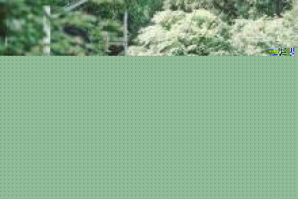 以太坊价格热（以太坊最新价格及行情）