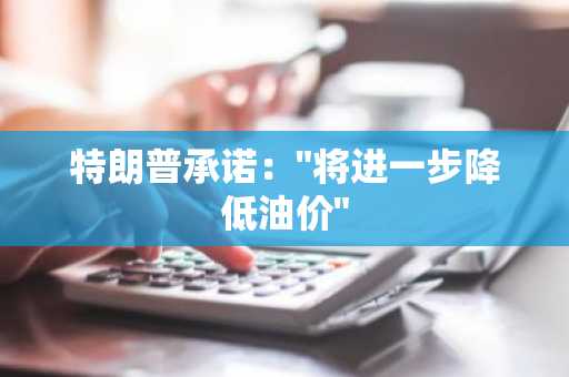 特朗普承诺："将进一步降低油价"