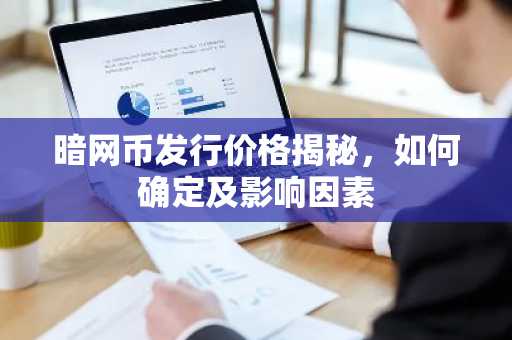暗网币发行价格揭秘，如何确定及影响因素