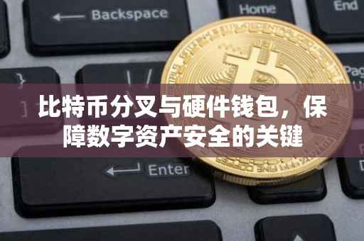比特币分叉与硬件钱包，保障数字资产安全的关键