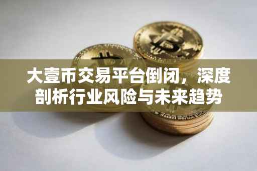 大壹币交易平台倒闭，深度剖析行业风险与未来趋势