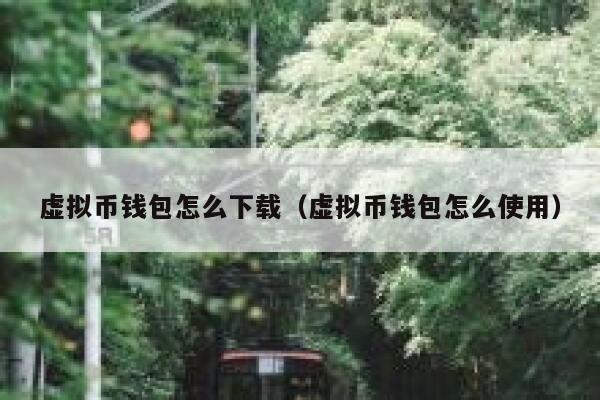 虚拟币钱包怎么下载（虚拟币钱包怎么使用）
