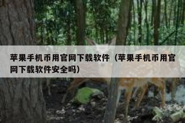 苹果手机币用官网下载软件（苹果手机币用官网下载软件安全吗）