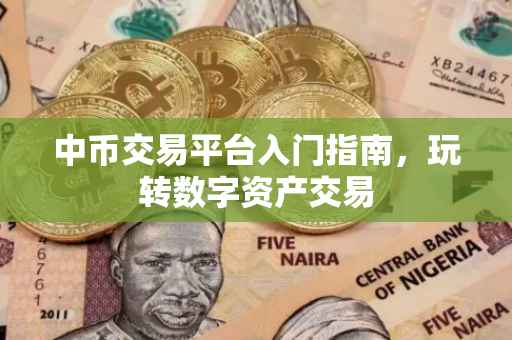 中币交易平台入门指南，玩转数字资产交易