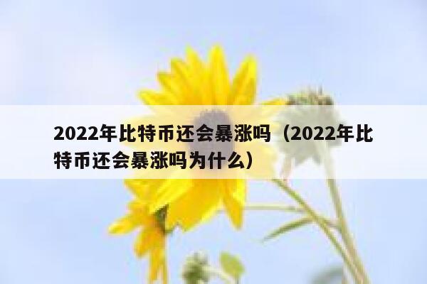 2022年比特币还会暴涨吗（2022年比特币还会暴涨吗为什么）