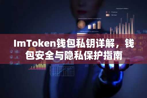ImToken钱包私钥详解，钱包安全与隐私保护指南