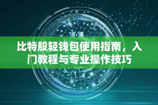 比特股轻钱包使用指南，入门教程与专业操作技巧