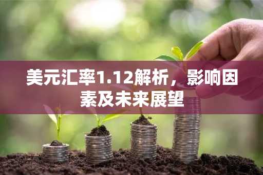 美元汇率1.12解析，影响因素及未来展望