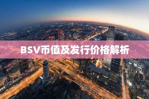 BSV币值及发行价格解析