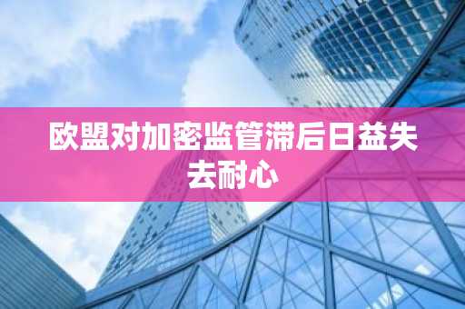 欧盟对加密监管滞后日益失去耐心